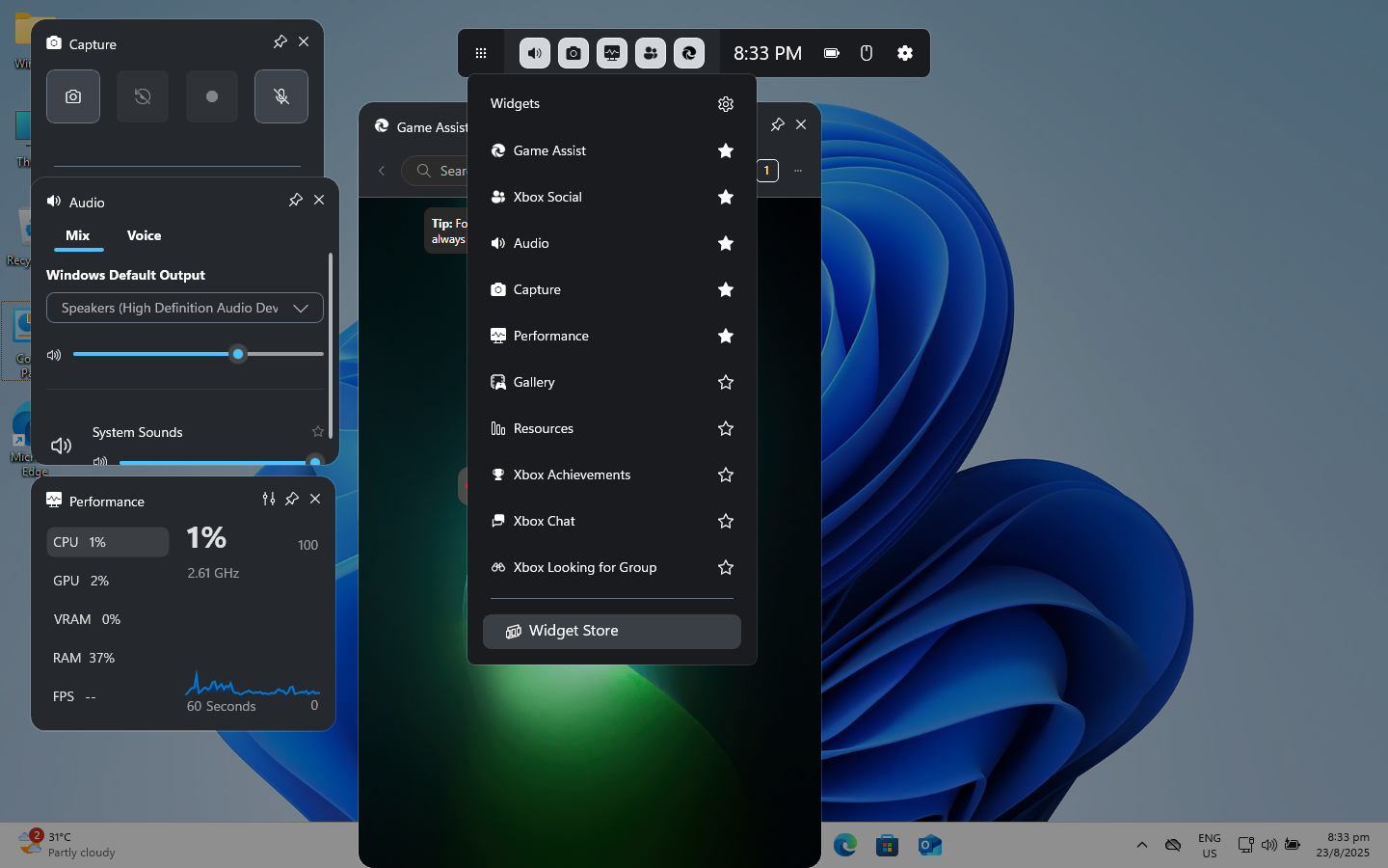 Open Widget Store